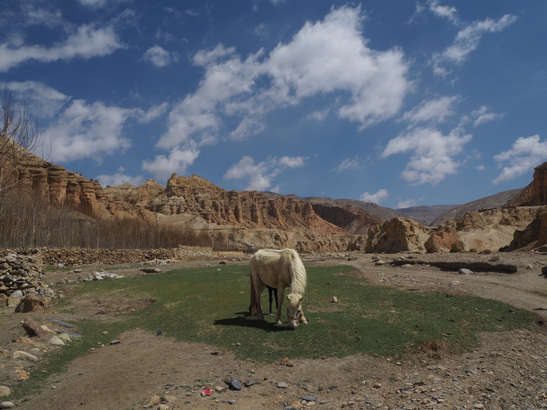 Upper Mustang